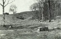 An illustration from American pictures and their painters (1921)