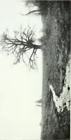 An illustration from American pictures and their painters (1921)