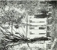 An illustration from American pictures and their painters (1921)