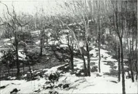 An illustration from American pictures and their painters (1921)