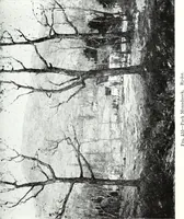 An illustration from American pictures and their painters (1921)