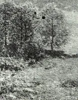 An illustration from American pictures and their painters (1921)