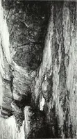 An illustration from American pictures and their painters (1921)