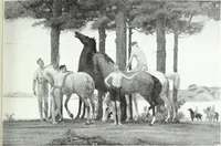 An illustration from American pictures and their painters (1921)
