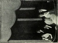 An illustration from American pictures and their painters (1921)