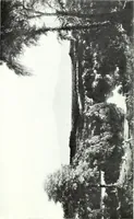 An illustration from American pictures and their painters (1921)