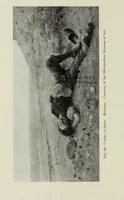 An illustration from American pictures and their painters (1917)