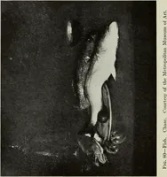 An illustration from American pictures and their painters (1917)