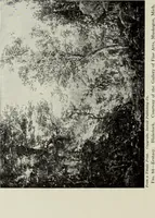 An illustration from American pictures and their painters (1917)