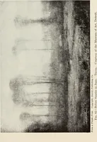 An illustration from American pictures and their painters (1917)