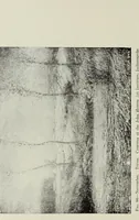 An illustration from American pictures and their painters (1917)