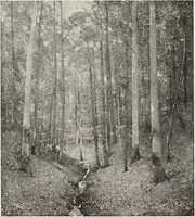 An illustration from American pictures and their painters (1917)