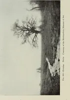 An illustration from American pictures and their painters (1917)