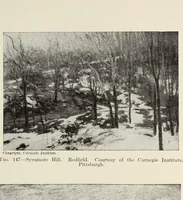 An illustration from American pictures and their painters (1917)