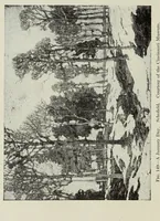 An illustration from American pictures and their painters (1917)