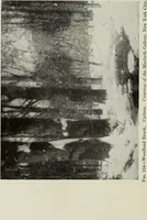 An illustration from American pictures and their painters (1917)