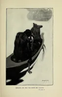 Picture 2 of 9 from The American slave-trade : an account of its origin, growth and suppression (1900), leaf 53