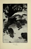 Picture 3 of 9 from The American slave-trade : an account of its origin, growth and suppression (1900), leaf 79