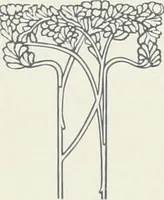 An illustration from American specimen book of type styles : complete catalogue of printing machinery and printing supplies, 1912 (1912)