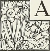 An illustration from American specimen book of type styles : complete catalogue of printing machinery and printing supplies, 1912 (1912)