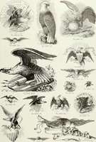 An illustration from American specimen book of type styles : complete catalogue of printing machinery and printing supplies, 1912 (1912)