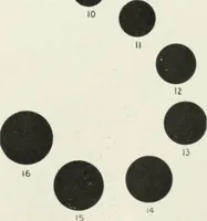 An illustration from American specimen book of type styles : complete catalogue of printing machinery and printing supplies, 1912 (1912)