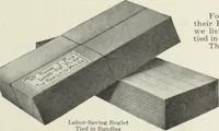 An illustration from American specimen book of type styles : complete catalogue of printing machinery and printing supplies, 1912 (1912)