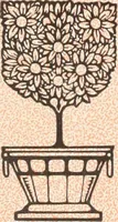An illustration from American specimen book of type styles : complete catalogue of printing machinery and printing supplies, 1912 (1912)