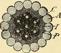 Picture 466 of 494 from American telegraphy and encyclopedia of the telegraph; systems, apparatus, operation (1909), leaf 641