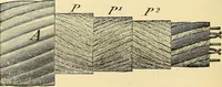 Picture 468 of 494 from American telegraphy and encyclopedia of the telegraph; systems, apparatus, operation (1909), leaf 641