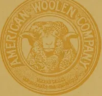 Picture 43 of 54 from American Woolen Company mills (1921), leaf 96