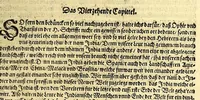 Picture 3 of 4 from America, oder wie mans zu teutsch nennet die Neuwe Welt, oder West Jndia. (1605), leaf 31