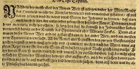 An illustration from America, oder wie mans zu teutsch nennet die Neuwe Welt, oder West Jndia. (1605)