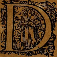 An illustration from Americæ nona & postrema pars : qua de ratione elementorum, de novi orbis natvra, de hvivs incolarvm svperstitiosis cultibus : deq; forma politiæ ac reipubl. ipsorum copiosè pertractatur : catalogo regnum Mexicanorum omnium, à primo vsq; ad vltimum Monteçuman II. additio ... : his accessit designatio illivs navigationis, quam 5. naves Hollandicae anno 1598. per fretum Magellanum in Moluccanas insulas tentarunt : quomodo nimirum oborta tempestate Capitaeus Sebalt de Weert à cæteris nauibus dispulsus, postquam plurimis mensibus in freto infinitis aerumnis miserè iactatus fuisset, tandem infectare post biennum an. 1600. domum reuersus sit : addita est tertio navigatio recens, quam 4. navium praefectus Olevier à Noort proximè suscepit ... : omnia è Germanico Latinitate donata, & insuper elegantissimis figuris æneis coornata editaq; sumptibus Theodori de Bry p.m. Viduæ & binorum filiorum (1602)