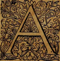 An illustration from Americæ nona & postrema pars : qua de ratione elementorum, de novi orbis natvra, de hvivs incolarvm svperstitiosis cultibus : deq; forma politiæ ac reipubl. ipsorum copiosè pertractatur : catalogo regnum Mexicanorum omnium, à primo vsq; ad vltimum Monteçuman II. additio ... : his accessit designatio illivs navigationis, quam 5. naves Hollandicae anno 1598. per fretum Magellanum in Moluccanas insulas tentarunt : quomodo nimirum oborta tempestate Capitaeus Sebalt de Weert à cæteris nauibus dispulsus, postquam plurimis mensibus in freto infinitis aerumnis miserè iactatus fuisset, tandem infectare post biennum an. 1600. domum reuersus sit : addita est tertio navigatio recens, quam 4. navium praefectus Olevier à Noort proximè suscepit ... : omnia è Germanico Latinitate donata, & insuper elegantissimis figuris æneis coornata editaq; sumptibus Theodori de Bry p.m. Viduæ & binorum filiorum (1602)
