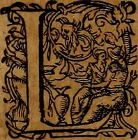 An illustration from Americæ nona & postrema pars : qua de ratione elementorum, de novi orbis natvra, de hvivs incolarvm svperstitiosis cultibus : deq; forma politiæ ac reipubl. ipsorum copiosè pertractatur : catalogo regnum Mexicanorum omnium, à primo vsq; ad vltimum Monteçuman II. additio ... : his accessit designatio illivs navigationis, quam 5. naves Hollandicae anno 1598. per fretum Magellanum in Moluccanas insulas tentarunt : quomodo nimirum oborta tempestate Capitaeus Sebalt de Weert à cæteris nauibus dispulsus, postquam plurimis mensibus in freto infinitis aerumnis miserè iactatus fuisset, tandem infectare post biennum an. 1600. domum reuersus sit : addita est tertio navigatio recens, quam 4. navium praefectus Olevier à Noort proximè suscepit ... : omnia è Germanico Latinitate donata, & insuper elegantissimis figuris æneis coornata editaq; sumptibus Theodori de Bry p.m. Viduæ & binorum filiorum (1602)