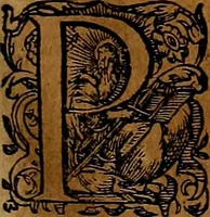 Picture 62 of 256 from Americæ nona & postrema pars : qua de ratione elementorum, de novi orbis natvra, de hvivs incolarvm svperstitiosis cultibus : deq; forma politiæ ac reipubl. ipsorum copiosè pertractatur : catalogo regnum Mexicanorum omnium, à primo vsq; ad vltimum Monteçuman II. additio ... : his accessit designatio illivs navigationis, quam 5. naves Hollandicae anno 1598. per fretum Magellanum in Moluccanas insulas tentarunt : quomodo nimirum oborta tempestate Capitaeus Sebalt de Weert à cæteris nauibus dispulsus, postquam plurimis mensibus in freto infinitis aerumnis miserè iactatus fuisset, tandem infectare post biennum an. 1600. domum reuersus sit : addita est tertio navigatio recens, quam 4. navium praefectus Olevier à Noort proximè suscepit ... : omnia è Germanico Latinitate donata, & insuper elegantissimis figuris æneis coornata editaq; sumptibus Theodori de Bry p.m. Viduæ & binorum filiorum (1602), leaf 132