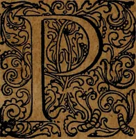 An illustration from Americæ nona & postrema pars : qua de ratione elementorum, de novi orbis natvra, de hvivs incolarvm svperstitiosis cultibus : deq; forma politiæ ac reipubl. ipsorum copiosè pertractatur : catalogo regnum Mexicanorum omnium, à primo vsq; ad vltimum Monteçuman II. additio ... : his accessit designatio illivs navigationis, quam 5. naves Hollandicae anno 1598. per fretum Magellanum in Moluccanas insulas tentarunt : quomodo nimirum oborta tempestate Capitaeus Sebalt de Weert à cæteris nauibus dispulsus, postquam plurimis mensibus in freto infinitis aerumnis miserè iactatus fuisset, tandem infectare post biennum an. 1600. domum reuersus sit : addita est tertio navigatio recens, quam 4. navium praefectus Olevier à Noort proximè suscepit ... : omnia è Germanico Latinitate donata, & insuper elegantissimis figuris æneis coornata editaq; sumptibus Theodori de Bry p.m. Viduæ & binorum filiorum (1602)
