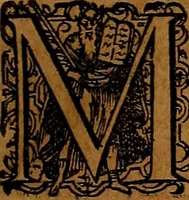 An illustration from Americæ nona & postrema pars : qua de ratione elementorum, de novi orbis natvra, de hvivs incolarvm svperstitiosis cultibus : deq; forma politiæ ac reipubl. ipsorum copiosè pertractatur : catalogo regnum Mexicanorum omnium, à primo vsq; ad vltimum Monteçuman II. additio ... : his accessit designatio illivs navigationis, quam 5. naves Hollandicae anno 1598. per fretum Magellanum in Moluccanas insulas tentarunt : quomodo nimirum oborta tempestate Capitaeus Sebalt de Weert à cæteris nauibus dispulsus, postquam plurimis mensibus in freto infinitis aerumnis miserè iactatus fuisset, tandem infectare post biennum an. 1600. domum reuersus sit : addita est tertio navigatio recens, quam 4. navium praefectus Olevier à Noort proximè suscepit ... : omnia è Germanico Latinitate donata, & insuper elegantissimis figuris æneis coornata editaq; sumptibus Theodori de Bry p.m. Viduæ & binorum filiorum (1602)