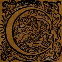 An illustration from Americæ nona & postrema pars : qua de ratione elementorum, de novi orbis natvra, de hvivs incolarvm svperstitiosis cultibus : deq; forma politiæ ac reipubl. ipsorum copiosè pertractatur : catalogo regnum Mexicanorum omnium, à primo vsq; ad vltimum Monteçuman II. additio ... : his accessit designatio illivs navigationis, quam 5. naves Hollandicae anno 1598. per fretum Magellanum in Moluccanas insulas tentarunt : quomodo nimirum oborta tempestate Capitaeus Sebalt de Weert à cæteris nauibus dispulsus, postquam plurimis mensibus in freto infinitis aerumnis miserè iactatus fuisset, tandem infectare post biennum an. 1600. domum reuersus sit : addita est tertio navigatio recens, quam 4. navium praefectus Olevier à Noort proximè suscepit ... : omnia è Germanico Latinitate donata, & insuper elegantissimis figuris æneis coornata editaq; sumptibus Theodori de Bry p.m. Viduæ & binorum filiorum (1602)