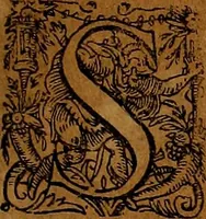 An illustration from Americæ nona & postrema pars : qua de ratione elementorum, de novi orbis natvra, de hvivs incolarvm svperstitiosis cultibus : deq; forma politiæ ac reipubl. ipsorum copiosè pertractatur : catalogo regnum Mexicanorum omnium, à primo vsq; ad vltimum Monteçuman II. additio ... : his accessit designatio illivs navigationis, quam 5. naves Hollandicae anno 1598. per fretum Magellanum in Moluccanas insulas tentarunt : quomodo nimirum oborta tempestate Capitaeus Sebalt de Weert à cæteris nauibus dispulsus, postquam plurimis mensibus in freto infinitis aerumnis miserè iactatus fuisset, tandem infectare post biennum an. 1600. domum reuersus sit : addita est tertio navigatio recens, quam 4. navium praefectus Olevier à Noort proximè suscepit ... : omnia è Germanico Latinitate donata, & insuper elegantissimis figuris æneis coornata editaq; sumptibus Theodori de Bry p.m. Viduæ & binorum filiorum (1602)