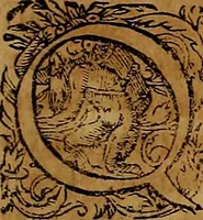An illustration from Americæ nona & postrema pars : qua de ratione elementorum, de novi orbis natvra, de hvivs incolarvm svperstitiosis cultibus : deq; forma politiæ ac reipubl. ipsorum copiosè pertractatur : catalogo regnum Mexicanorum omnium, à primo vsq; ad vltimum Monteçuman II. additio ... : his accessit designatio illivs navigationis, quam 5. naves Hollandicae anno 1598. per fretum Magellanum in Moluccanas insulas tentarunt : quomodo nimirum oborta tempestate Capitaeus Sebalt de Weert à cæteris nauibus dispulsus, postquam plurimis mensibus in freto infinitis aerumnis miserè iactatus fuisset, tandem infectare post biennum an. 1600. domum reuersus sit : addita est tertio navigatio recens, quam 4. navium praefectus Olevier à Noort proximè suscepit ... : omnia è Germanico Latinitate donata, & insuper elegantissimis figuris æneis coornata editaq; sumptibus Theodori de Bry p.m. Viduæ & binorum filiorum (1602)