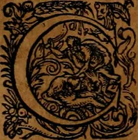An illustration from Americæ nona & postrema pars : qua de ratione elementorum, de novi orbis natvra, de hvivs incolarvm svperstitiosis cultibus : deq; forma politiæ ac reipubl. ipsorum copiosè pertractatur : catalogo regnum Mexicanorum omnium, à primo vsq; ad vltimum Monteçuman II. additio ... : his accessit designatio illivs navigationis, quam 5. naves Hollandicae anno 1598. per fretum Magellanum in Moluccanas insulas tentarunt : quomodo nimirum oborta tempestate Capitaeus Sebalt de Weert à cæteris nauibus dispulsus, postquam plurimis mensibus in freto infinitis aerumnis miserè iactatus fuisset, tandem infectare post biennum an. 1600. domum reuersus sit : addita est tertio navigatio recens, quam 4. navium praefectus Olevier à Noort proximè suscepit ... : omnia è Germanico Latinitate donata, & insuper elegantissimis figuris æneis coornata editaq; sumptibus Theodori de Bry p.m. Viduæ & binorum filiorum (1602)