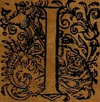 An illustration from Americæ nona & postrema pars : qua de ratione elementorum, de novi orbis natvra, de hvivs incolarvm svperstitiosis cultibus : deq; forma politiæ ac reipubl. ipsorum copiosè pertractatur : catalogo regnum Mexicanorum omnium, à primo vsq; ad vltimum Monteçuman II. additio ... : his accessit designatio illivs navigationis, quam 5. naves Hollandicae anno 1598. per fretum Magellanum in Moluccanas insulas tentarunt : quomodo nimirum oborta tempestate Capitaeus Sebalt de Weert à cæteris nauibus dispulsus, postquam plurimis mensibus in freto infinitis aerumnis miserè iactatus fuisset, tandem infectare post biennum an. 1600. domum reuersus sit : addita est tertio navigatio recens, quam 4. navium praefectus Olevier à Noort proximè suscepit ... : omnia è Germanico Latinitate donata, & insuper elegantissimis figuris æneis coornata editaq; sumptibus Theodori de Bry p.m. Viduæ & binorum filiorum (1602)