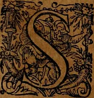 An illustration from Americæ nona & postrema pars : qua de ratione elementorum, de novi orbis natvra, de hvivs incolarvm svperstitiosis cultibus : deq; forma politiæ ac reipubl. ipsorum copiosè pertractatur : catalogo regnum Mexicanorum omnium, à primo vsq; ad vltimum Monteçuman II. additio ... : his accessit designatio illivs navigationis, quam 5. naves Hollandicae anno 1598. per fretum Magellanum in Moluccanas insulas tentarunt : quomodo nimirum oborta tempestate Capitaeus Sebalt de Weert à cæteris nauibus dispulsus, postquam plurimis mensibus in freto infinitis aerumnis miserè iactatus fuisset, tandem infectare post biennum an. 1600. domum reuersus sit : addita est tertio navigatio recens, quam 4. navium praefectus Olevier à Noort proximè suscepit ... : omnia è Germanico Latinitate donata, & insuper elegantissimis figuris æneis coornata editaq; sumptibus Theodori de Bry p.m. Viduæ & binorum filiorum (1602)