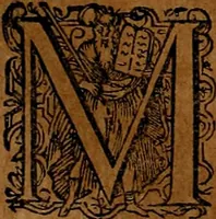 An illustration from Americæ nona & postrema pars : qua de ratione elementorum, de novi orbis natvra, de hvivs incolarvm svperstitiosis cultibus : deq; forma politiæ ac reipubl. ipsorum copiosè pertractatur : catalogo regnum Mexicanorum omnium, à primo vsq; ad vltimum Monteçuman II. additio ... : his accessit designatio illivs navigationis, quam 5. naves Hollandicae anno 1598. per fretum Magellanum in Moluccanas insulas tentarunt : quomodo nimirum oborta tempestate Capitaeus Sebalt de Weert à cæteris nauibus dispulsus, postquam plurimis mensibus in freto infinitis aerumnis miserè iactatus fuisset, tandem infectare post biennum an. 1600. domum reuersus sit : addita est tertio navigatio recens, quam 4. navium praefectus Olevier à Noort proximè suscepit ... : omnia è Germanico Latinitate donata, & insuper elegantissimis figuris æneis coornata editaq; sumptibus Theodori de Bry p.m. Viduæ & binorum filiorum (1602)