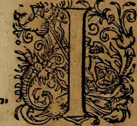 An illustration from Americæ nona & postrema pars : qua de ratione elementorum, de novi orbis natvra, de hvivs incolarvm svperstitiosis cultibus : deq; forma politiæ ac reipubl. ipsorum copiosè pertractatur : catalogo regnum Mexicanorum omnium, à primo vsq; ad vltimum Monteçuman II. additio ... : his accessit designatio illivs navigationis, quam 5. naves Hollandicae anno 1598. per fretum Magellanum in Moluccanas insulas tentarunt : quomodo nimirum oborta tempestate Capitaeus Sebalt de Weert à cæteris nauibus dispulsus, postquam plurimis mensibus in freto infinitis aerumnis miserè iactatus fuisset, tandem infectare post biennum an. 1600. domum reuersus sit : addita est tertio navigatio recens, quam 4. navium praefectus Olevier à Noort proximè suscepit ... : omnia è Germanico Latinitate donata, & insuper elegantissimis figuris æneis coornata editaq; sumptibus Theodori de Bry p.m. Viduæ & binorum filiorum (1602)