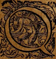 An illustration from Americæ nona & postrema pars : qua de ratione elementorum, de novi orbis natvra, de hvivs incolarvm svperstitiosis cultibus : deq; forma politiæ ac reipubl. ipsorum copiosè pertractatur : catalogo regnum Mexicanorum omnium, à primo vsq; ad vltimum Monteçuman II. additio ... : his accessit designatio illivs navigationis, quam 5. naves Hollandicae anno 1598. per fretum Magellanum in Moluccanas insulas tentarunt : quomodo nimirum oborta tempestate Capitaeus Sebalt de Weert à cæteris nauibus dispulsus, postquam plurimis mensibus in freto infinitis aerumnis miserè iactatus fuisset, tandem infectare post biennum an. 1600. domum reuersus sit : addita est tertio navigatio recens, quam 4. navium praefectus Olevier à Noort proximè suscepit ... : omnia è Germanico Latinitate donata, & insuper elegantissimis figuris æneis coornata editaq; sumptibus Theodori de Bry p.m. Viduæ & binorum filiorum (1602)