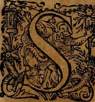 An illustration from Americæ nona & postrema pars : qua de ratione elementorum, de novi orbis natvra, de hvivs incolarvm svperstitiosis cultibus : deq; forma politiæ ac reipubl. ipsorum copiosè pertractatur : catalogo regnum Mexicanorum omnium, à primo vsq; ad vltimum Monteçuman II. additio ... : his accessit designatio illivs navigationis, quam 5. naves Hollandicae anno 1598. per fretum Magellanum in Moluccanas insulas tentarunt : quomodo nimirum oborta tempestate Capitaeus Sebalt de Weert à cæteris nauibus dispulsus, postquam plurimis mensibus in freto infinitis aerumnis miserè iactatus fuisset, tandem infectare post biennum an. 1600. domum reuersus sit : addita est tertio navigatio recens, quam 4. navium praefectus Olevier à Noort proximè suscepit ... : omnia è Germanico Latinitate donata, & insuper elegantissimis figuris æneis coornata editaq; sumptibus Theodori de Bry p.m. Viduæ & binorum filiorum (1602)