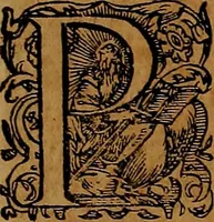 An illustration from Americæ nona & postrema pars : qua de ratione elementorum, de novi orbis natvra, de hvivs incolarvm svperstitiosis cultibus : deq; forma politiæ ac reipubl. ipsorum copiosè pertractatur : catalogo regnum Mexicanorum omnium, à primo vsq; ad vltimum Monteçuman II. additio ... : his accessit designatio illivs navigationis, quam 5. naves Hollandicae anno 1598. per fretum Magellanum in Moluccanas insulas tentarunt : quomodo nimirum oborta tempestate Capitaeus Sebalt de Weert à cæteris nauibus dispulsus, postquam plurimis mensibus in freto infinitis aerumnis miserè iactatus fuisset, tandem infectare post biennum an. 1600. domum reuersus sit : addita est tertio navigatio recens, quam 4. navium praefectus Olevier à Noort proximè suscepit ... : omnia è Germanico Latinitate donata, & insuper elegantissimis figuris æneis coornata editaq; sumptibus Theodori de Bry p.m. Viduæ & binorum filiorum (1602)